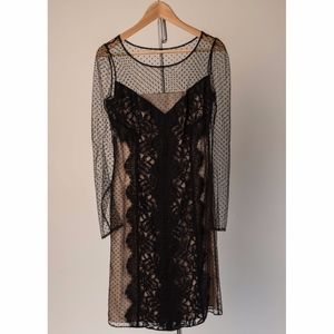Alice Black & Tan Sheer Lace Dress